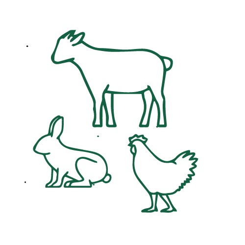 La Direction Générale de la Planification